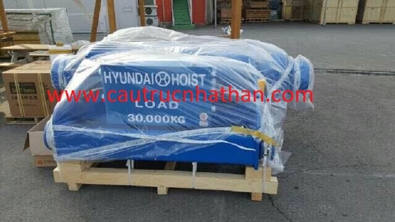 palang cáp hyundai 30 tấn dầm đôi nhập khẩu Hàn Quốc - cautrucnhathan.com